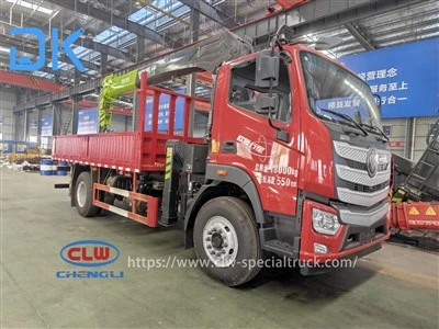Foton Auman 4,5 Meter Radstand Vison Supreme Edition 10 Tonnen